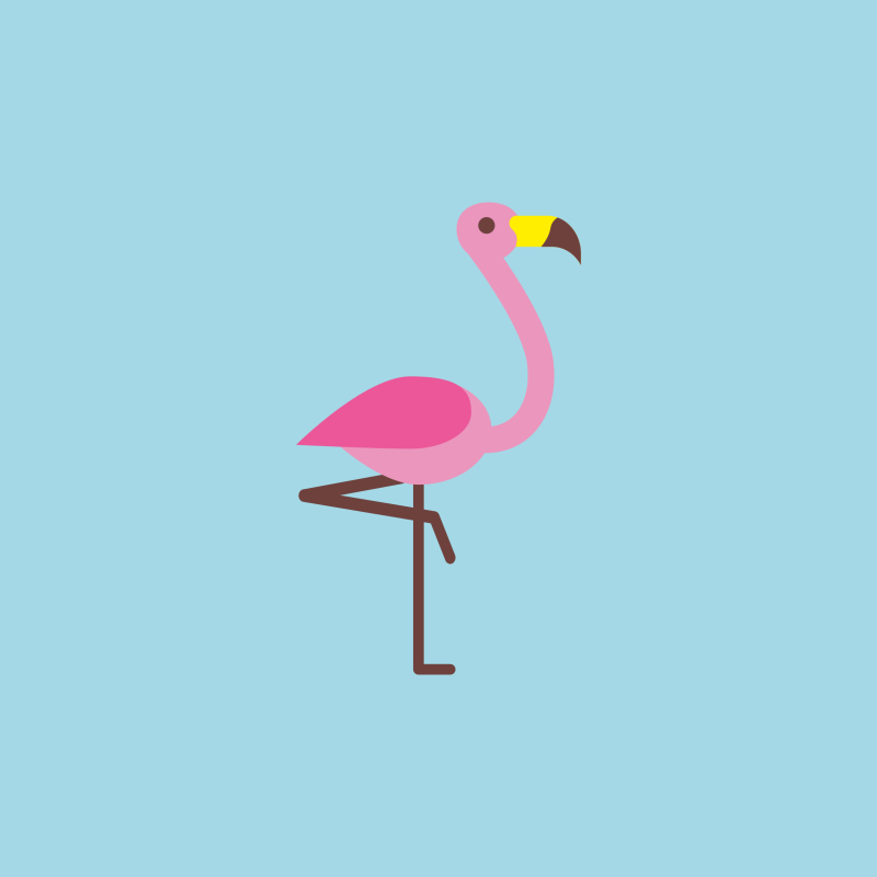 Flamant-Rose