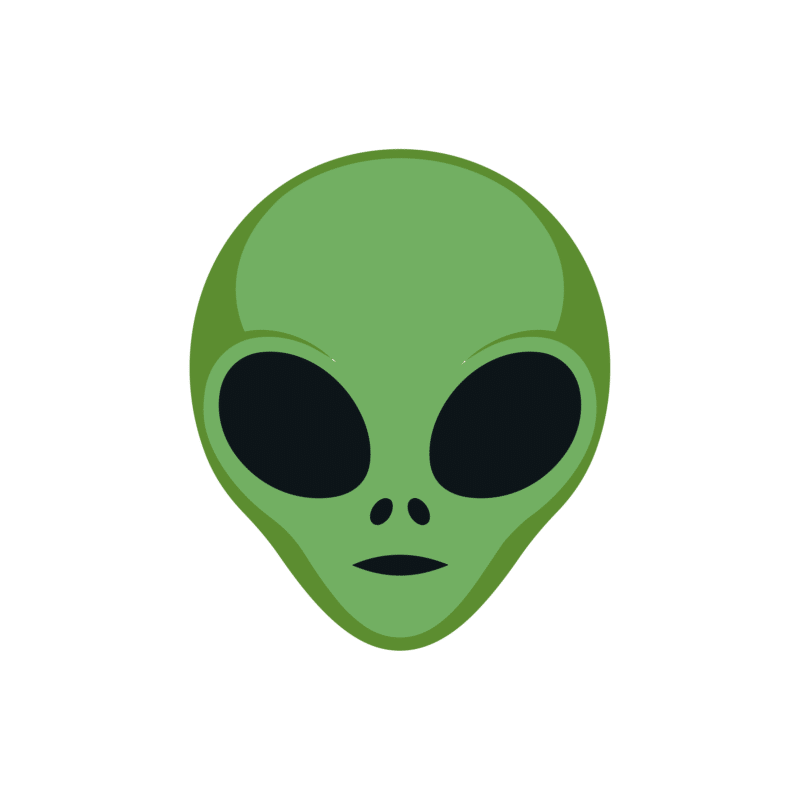 Socquettes brodées alien Houston, On a un Style - SocksLab