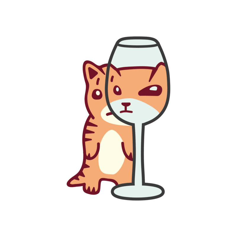 Socquettes brodées chat Chat Alors ! - SocksLab