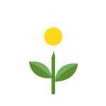 Socquettes brodées marguerite Il m'aime, Il m'aime pas - SocksLab