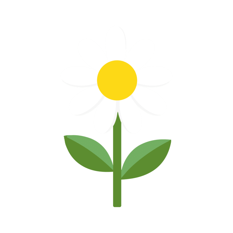 Socquettes brodées marguerite Il m'aime, Il m'aime pas - SocksLab