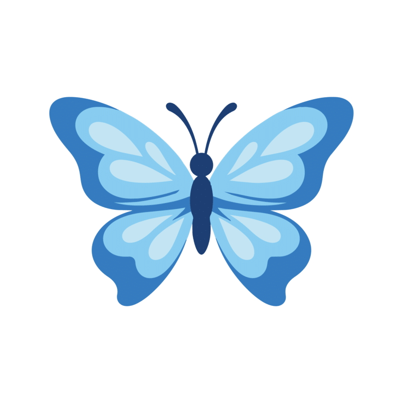 Socquettes brodées papillon Social Butterfly - SocksLab