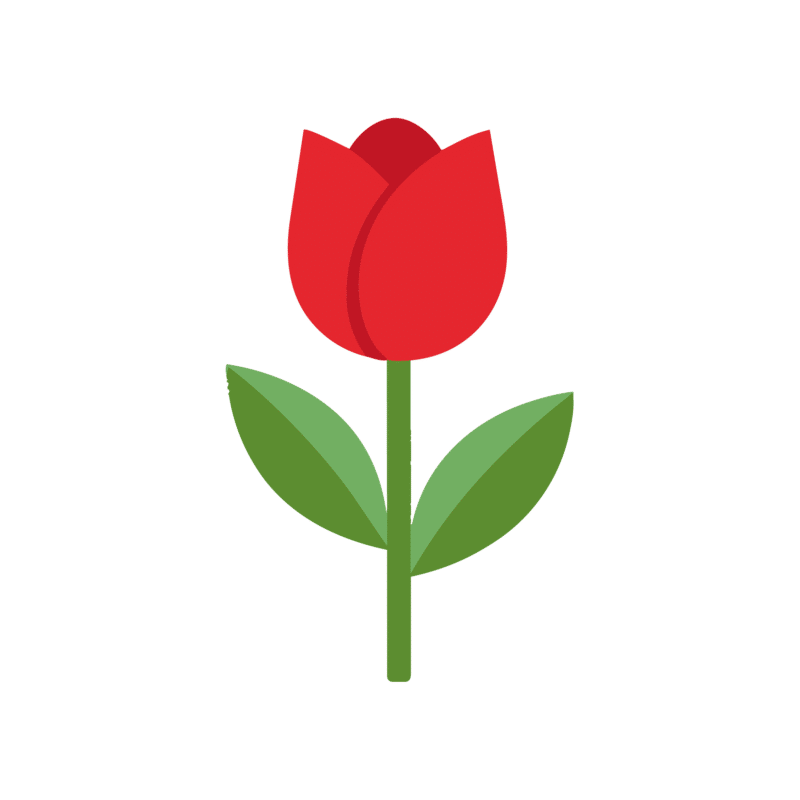Socquettes brodées tulipe Comme une Fleur - SocksLab